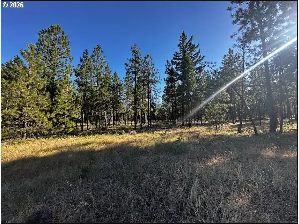 4 Carol Ln, Goldendale, WA 98620 - #3