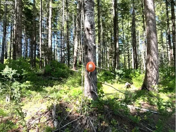 Tunnel Tract Parcel1, Banks, OR 97106
