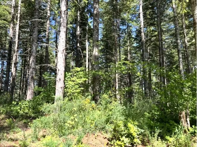 Tunnel Tract Parcel1, Banks, OR 97106 - #2