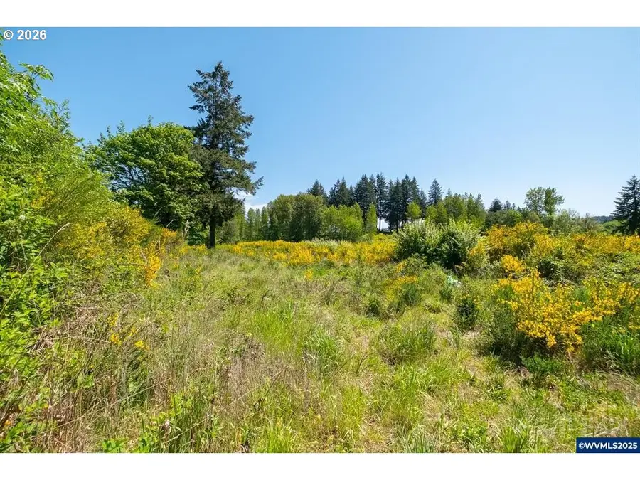 2414 (next To) Main St, Sweet Home, OR 97386 - #3