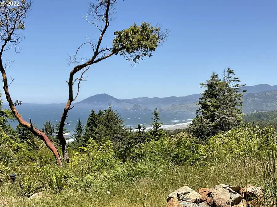 Miller Ln #1100, Goldbeach, OR 97444 - #2