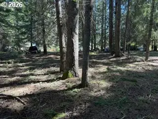 1251 Canyon Rd, Appleton, WA 98602 - #3