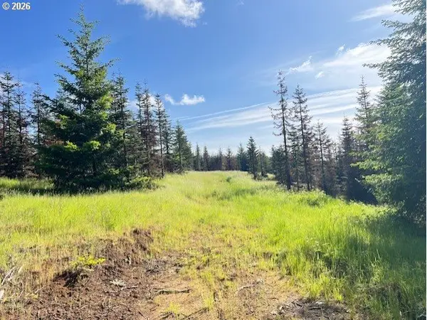 NW Lodge Rd, Banks, OR 97106