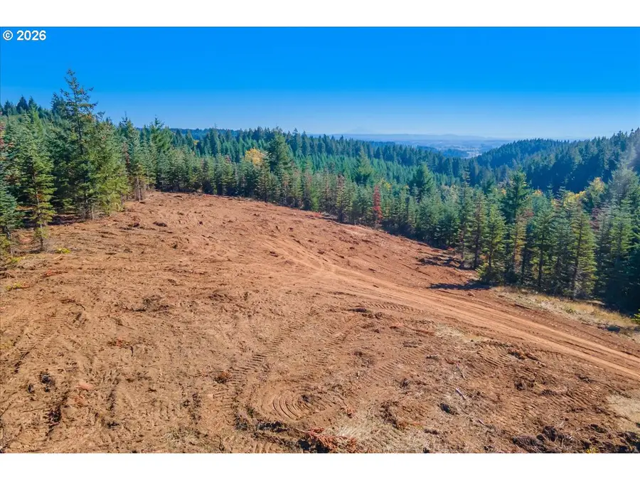 NW Lodge Rd, Banks, OR 97106 - #2