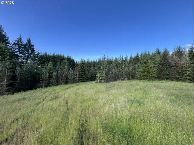 NW Lodge Rd, Banks, OR 97106 - #3
