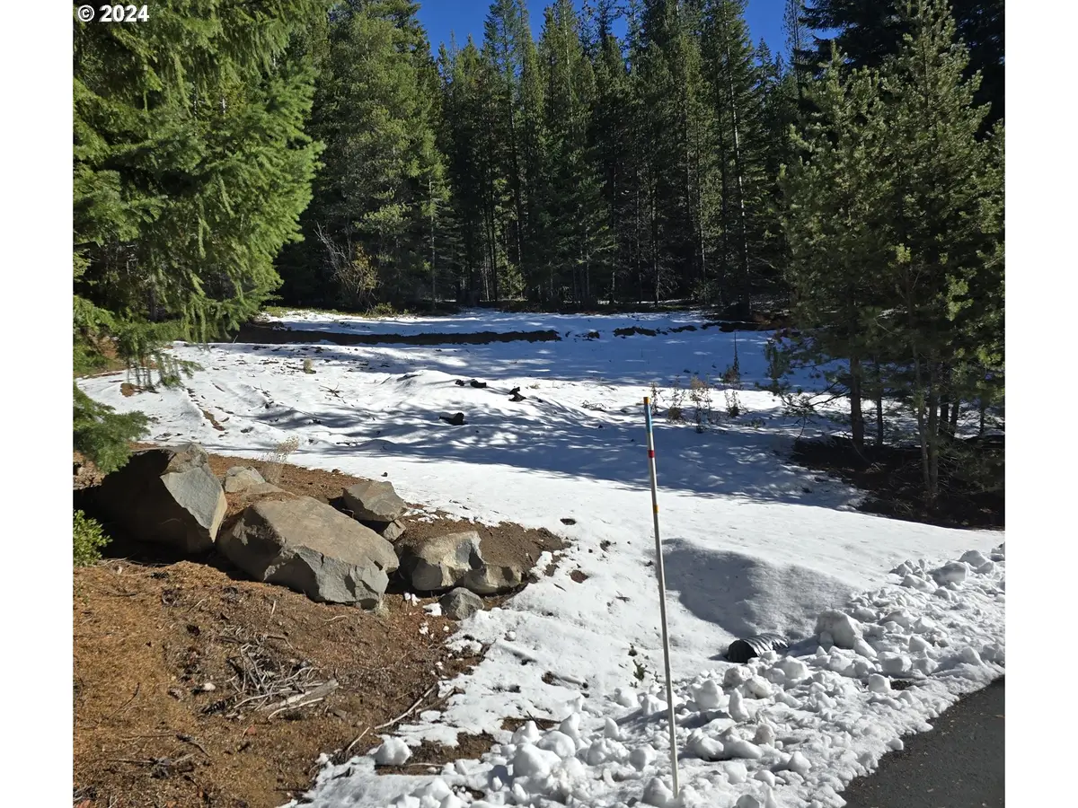 6 Royce Pine Rd, Crescent Lake, OR 97733 - #1