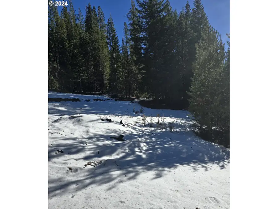 6 Royce Pine Rd, Crescent Lake, OR 97733 - #3