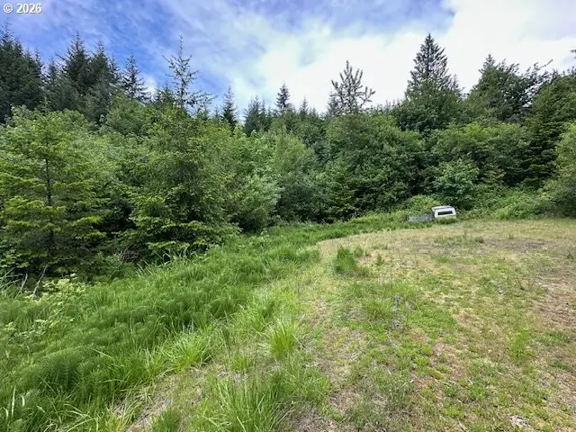 398 Serenity Ln, Kalama, WA 98625 - #2
