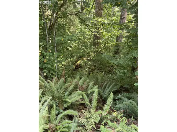 339th St, LaCenter, WA 98629