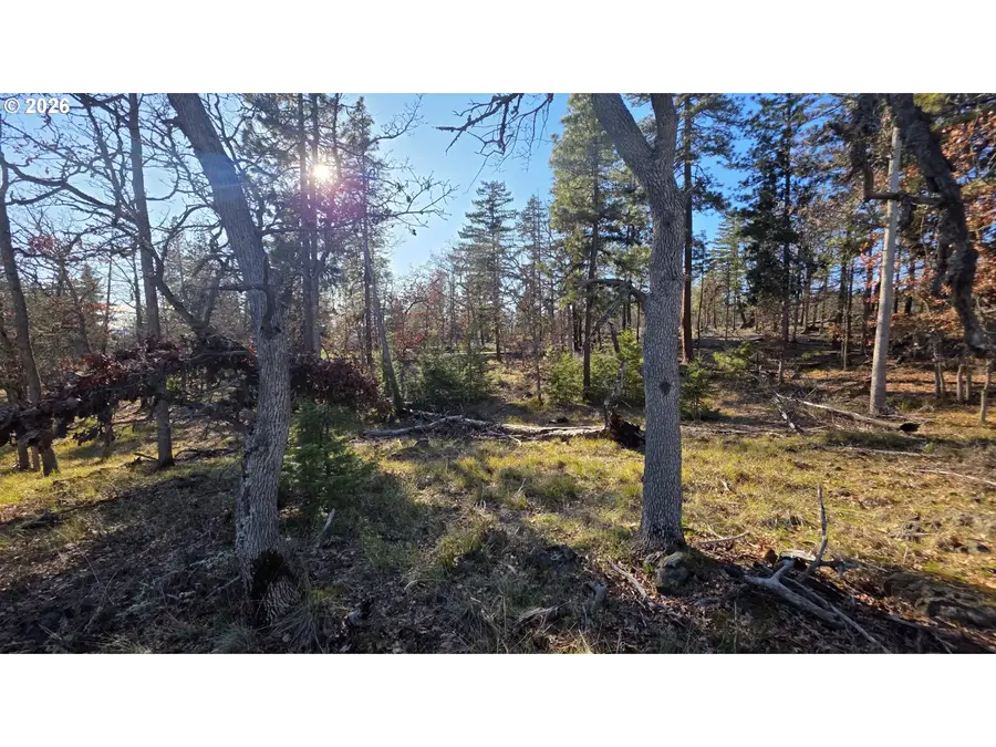 Lot 119, Goldendale, WA 98620 - #3