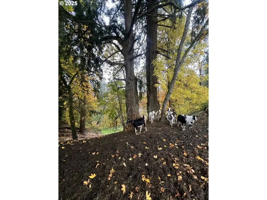 9070 SE Morgan Ln, McMinnville, OR 97128 - Image #3