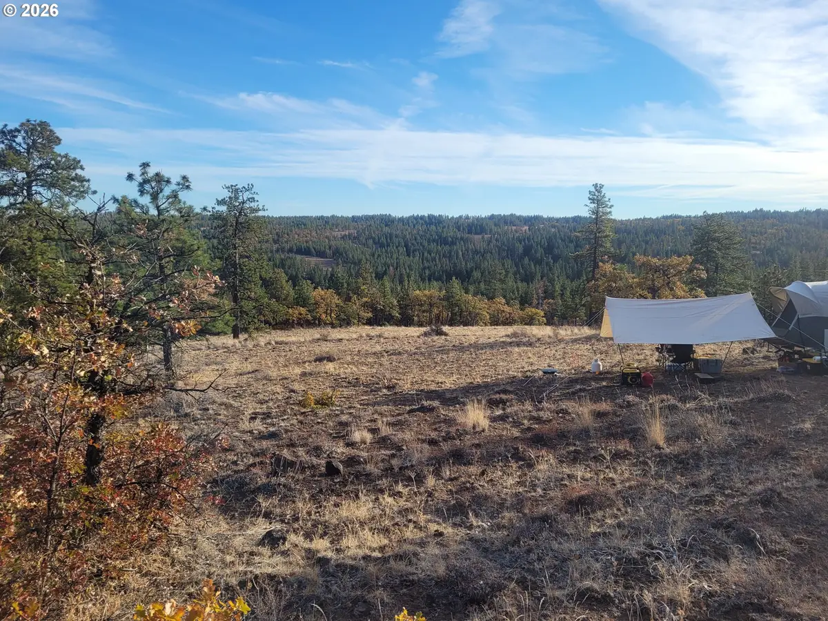605 Pine Creek Rd, Bickleton, WA 99322 - #1