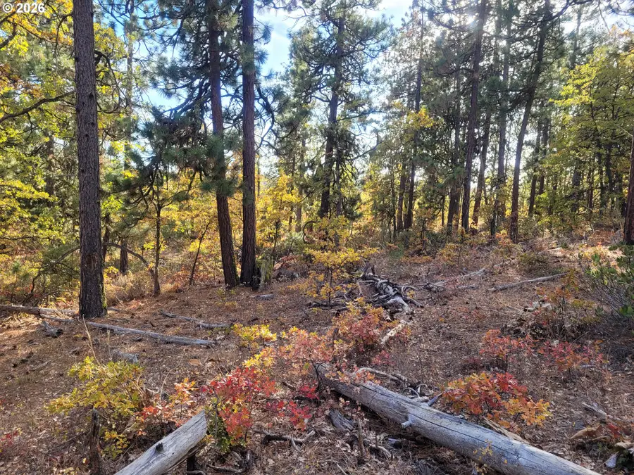 605 Pine Creek Rd, Bickleton, WA 99322 - #2