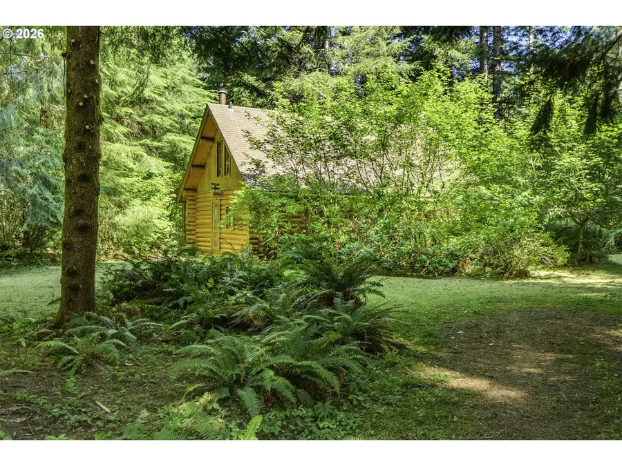 9947 Beach Dr, Birkenfeld, OR 97016 - #2