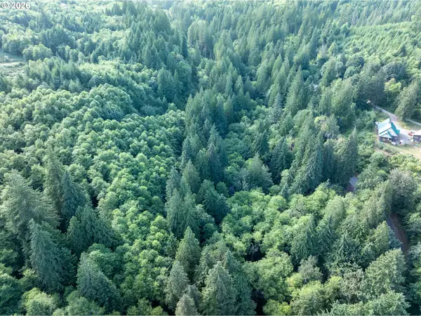 0 N Dubois Rd, Ariel, WA 98603