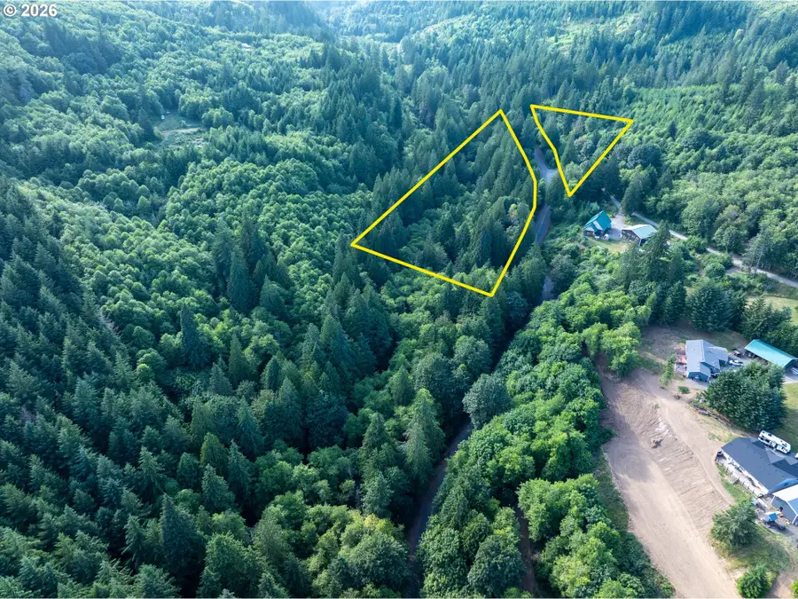 0 N Dubois Rd, Ariel, WA 98603 - #2