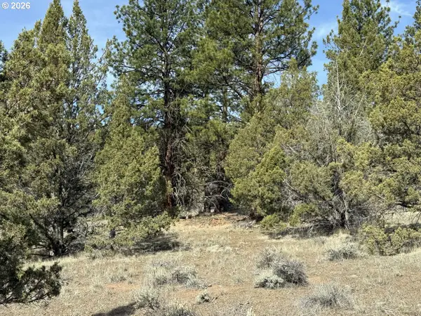 Yellow Jacket Spring Rd #1100, Beatty, OR 97621