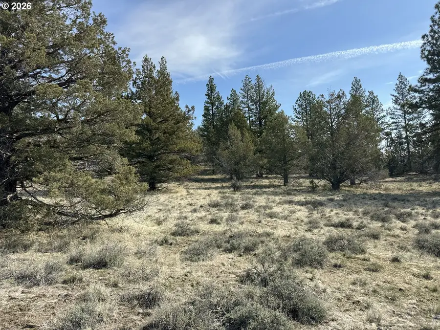 Yellow Jacket Spring Rd #1100, Beatty, OR 97621 - #3