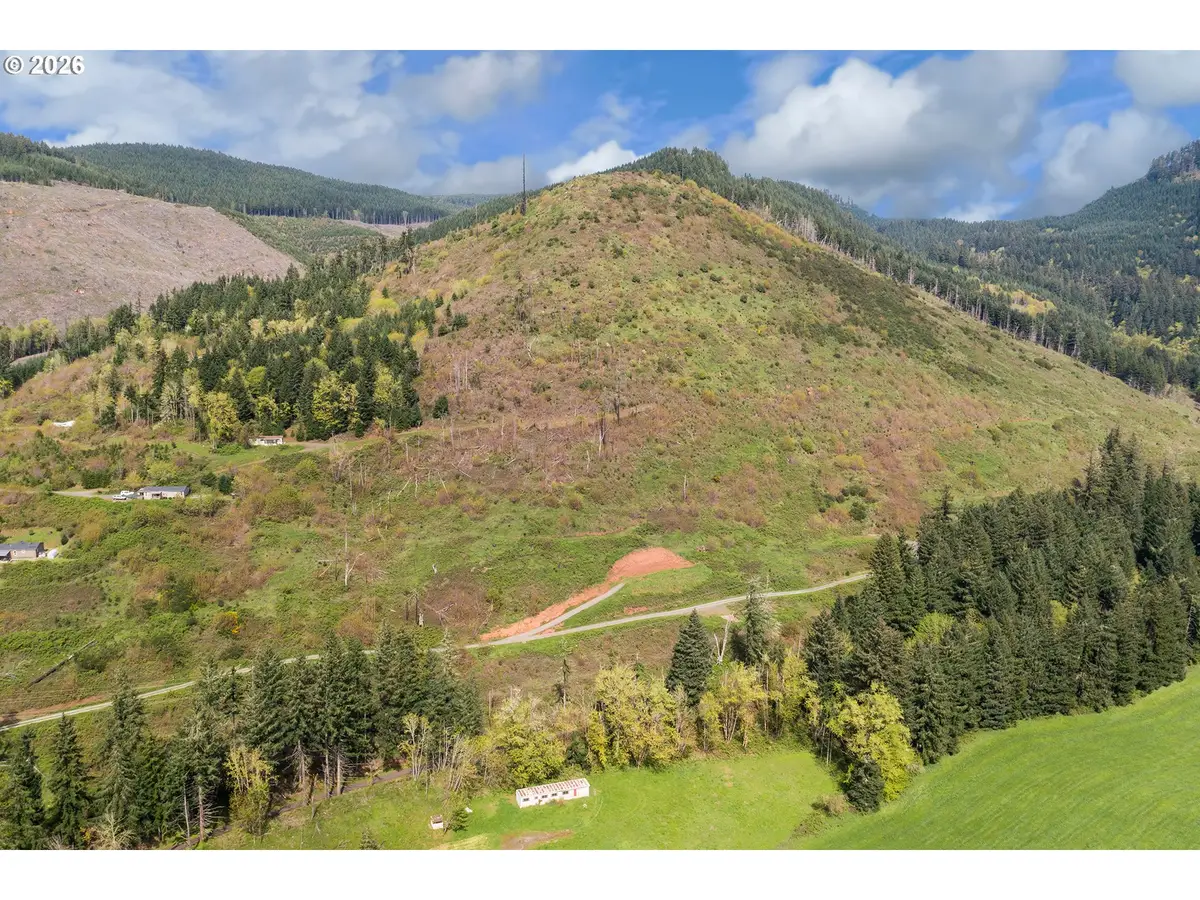 78693 Dowens Rd, Cottage Grove, OR 97424 - #1