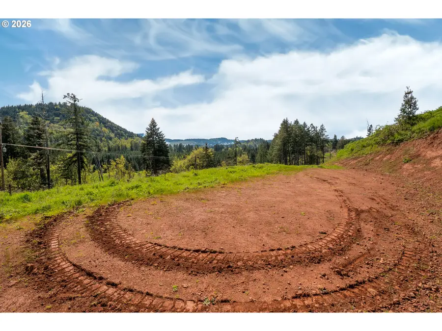 78693 Dowens Rd, Cottage Grove, OR 97424 - #3