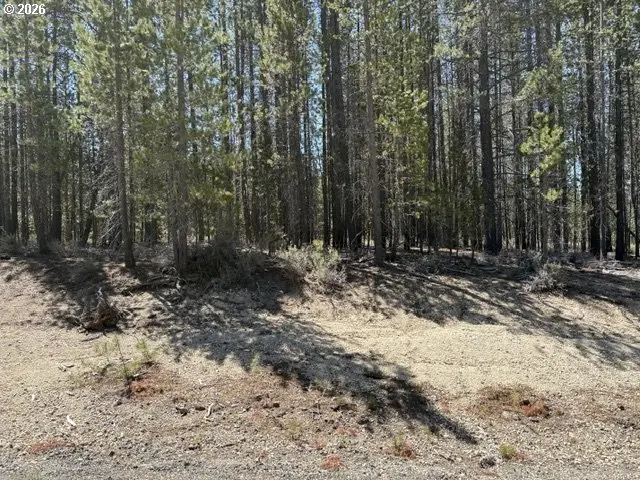 27 Surveyor Rd, Crescentlake, OR 97733 - #1