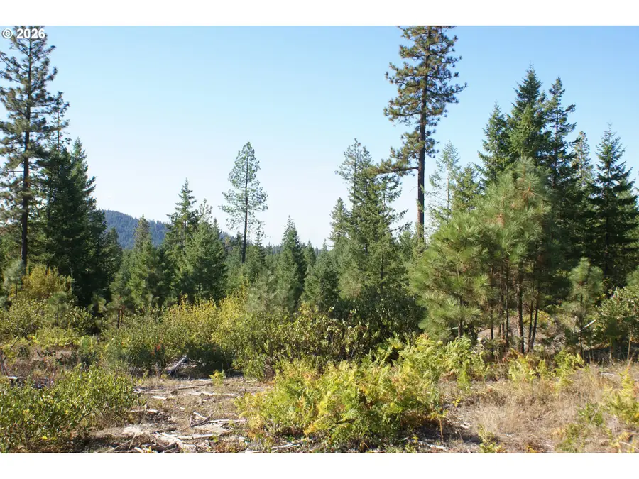 Cedar Valley Rd, Goldendale, WA 98620 - #3