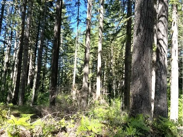 Tunnel Tract Parcel2, Banks, OR 97106 - #1