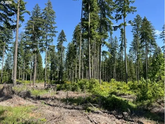Tunnel Tract Parcel2, Banks, OR 97106 - #3