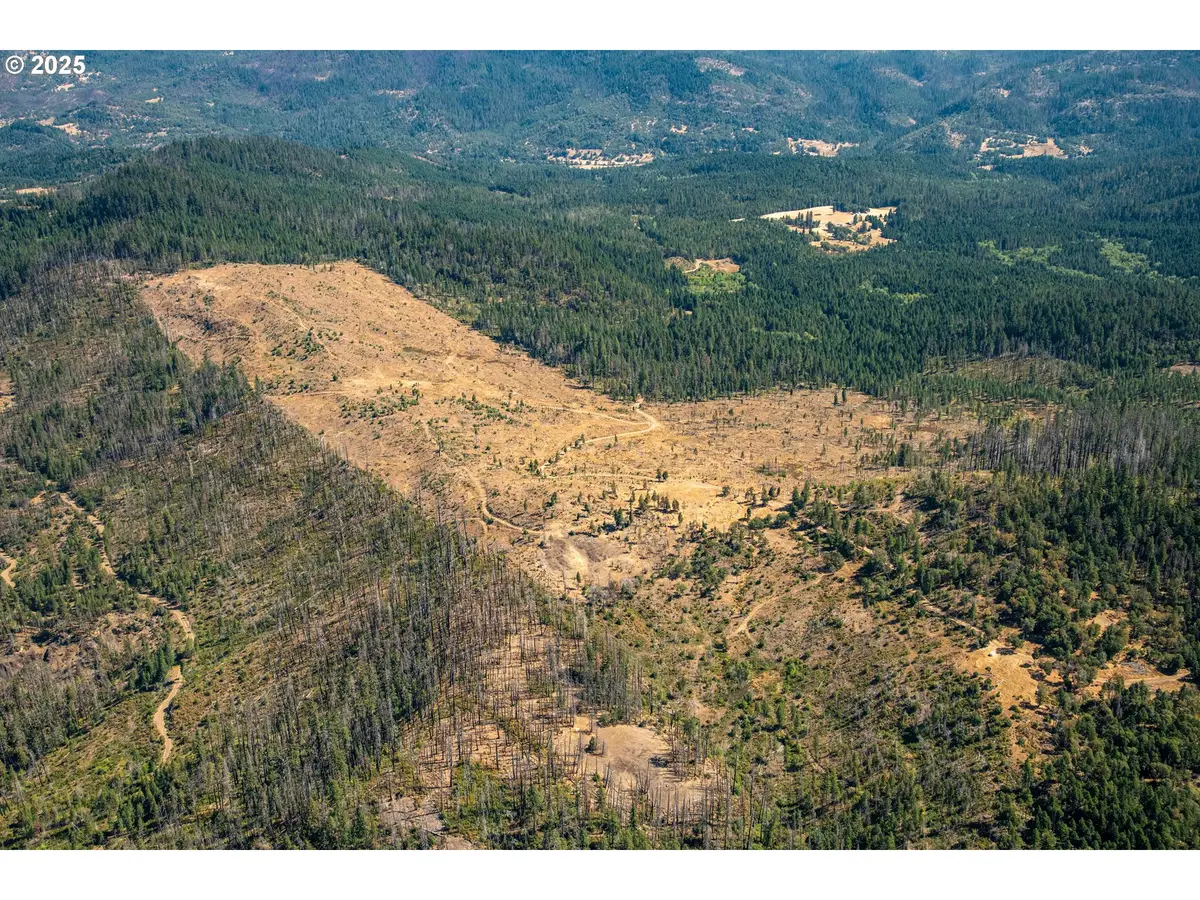 Diamond Rock Rd, Winston, OR 97496 - #1