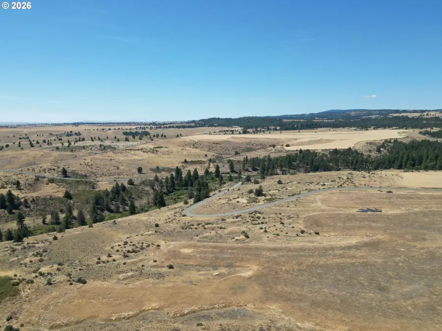 Xx Middle Rd., Bickleton, WA 99322 - #2