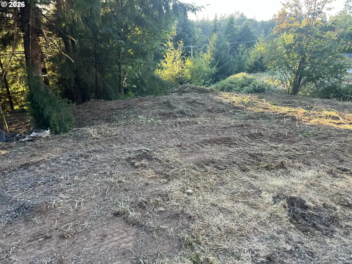 0 NE Jabez St, Winlock, WA 98596 - #1