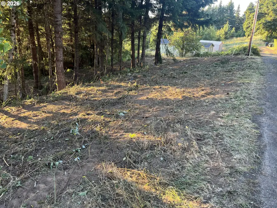 0 NE Jabez St, Winlock, WA 98596 - #3
