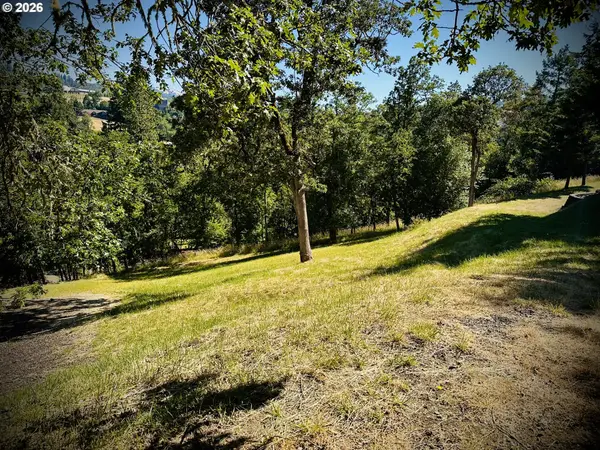 214 Gray Squirrel Ct, Winchester, OR 97495