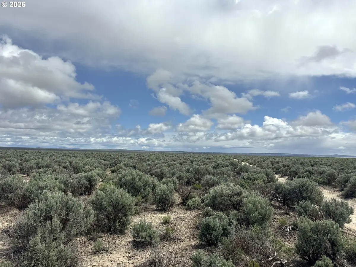 Lost Forest Lane #5600, Christmas Valley, OR 97641 - #1