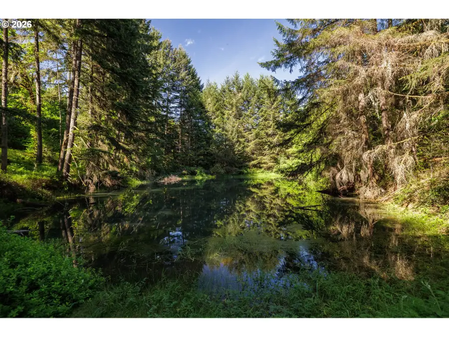 94915 Turnbow Ln, Junction City, OR 97448 - #3