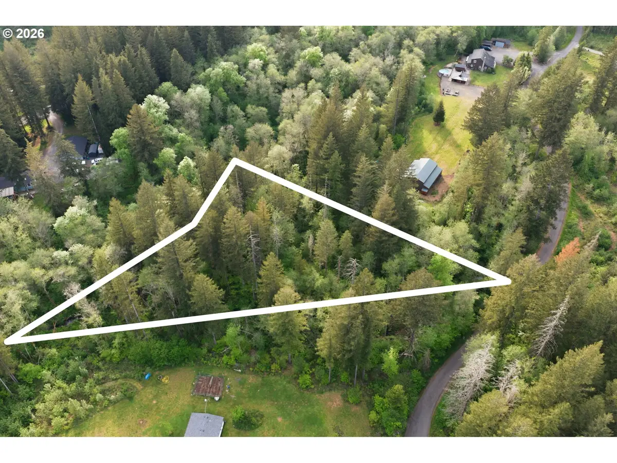Parcel 231793000, Yacolt, WA 98675 - #1