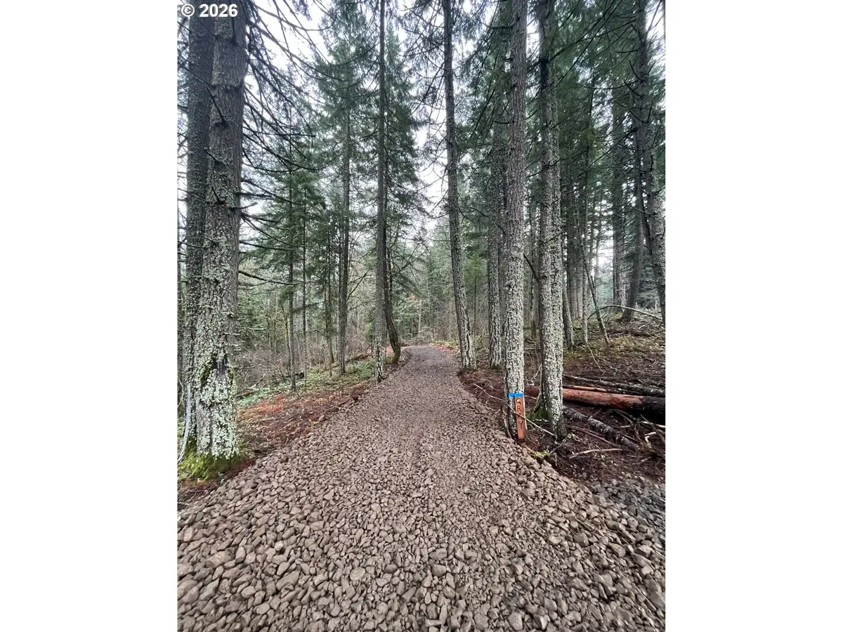 7091 Little Buck Creek Rd, Carson Underwood, WA 98672 - #1