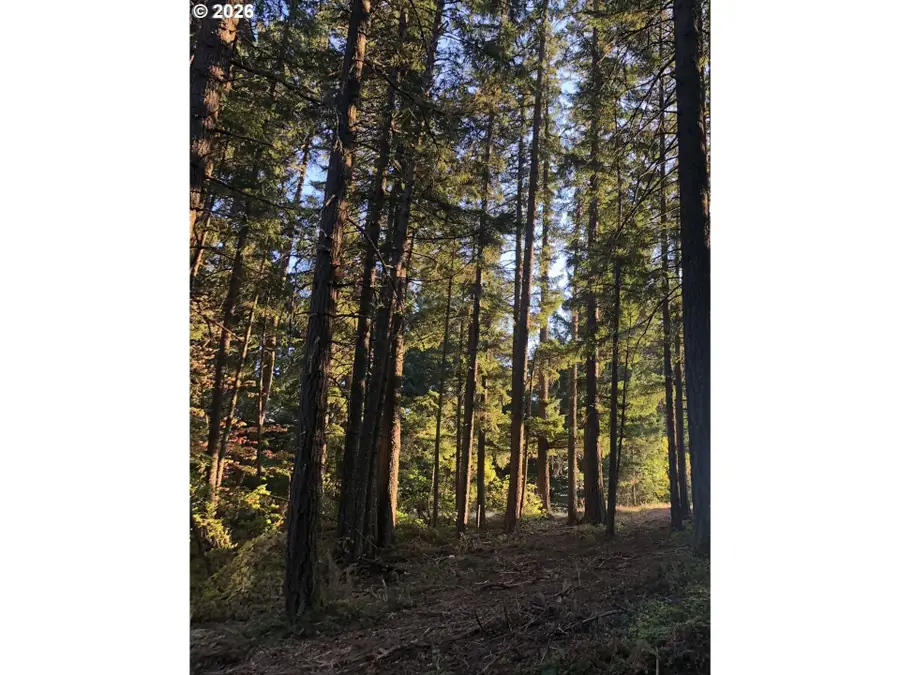 7091 Little Buck Creek Rd, Carson Underwood, WA 98672 - #2