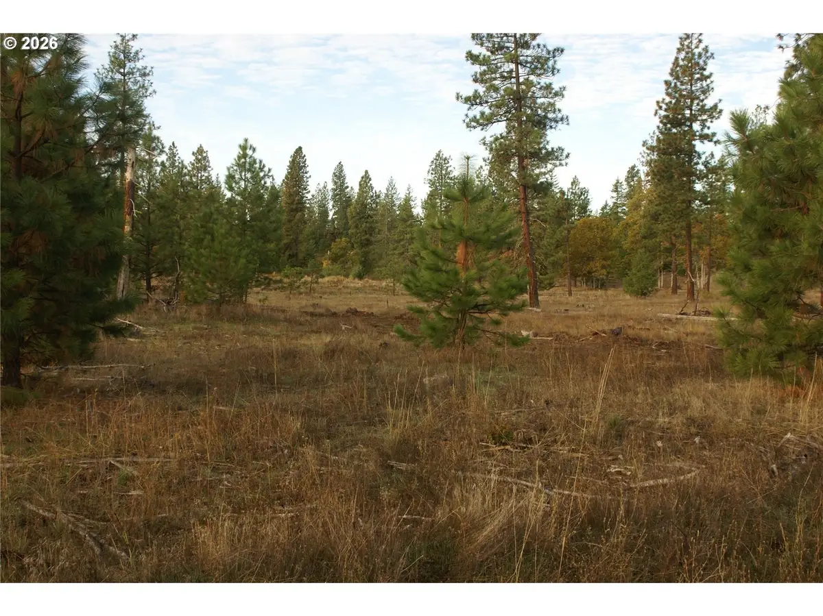 Lot 7-1 And 2 Ginger Way #1-2, Goldendale, WA 98620 - #1