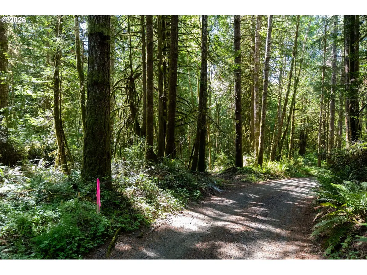 1781 E Sunset Hill Rd, Shelton, WA 98584 - #1