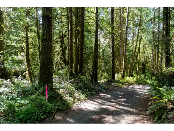 1781 E Sunset Hill Rd, Shelton, WA 98584