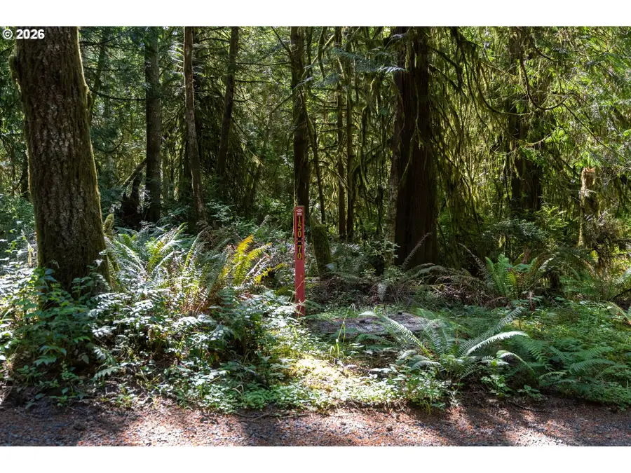 1781 E Sunset Hill Rd, Shelton, WA 98584 - #3