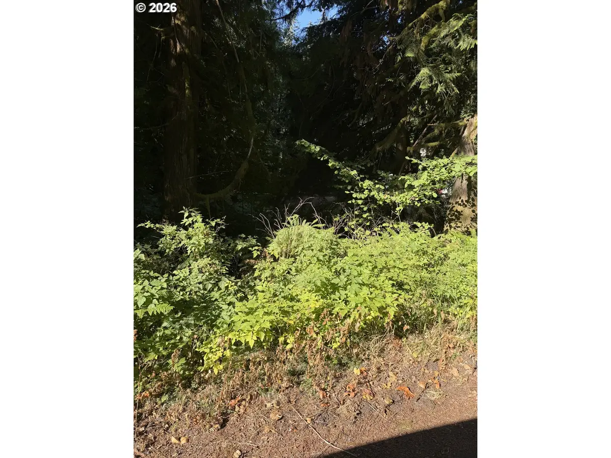 27325 E Welches Rd, Welches, OR 97067 - #1