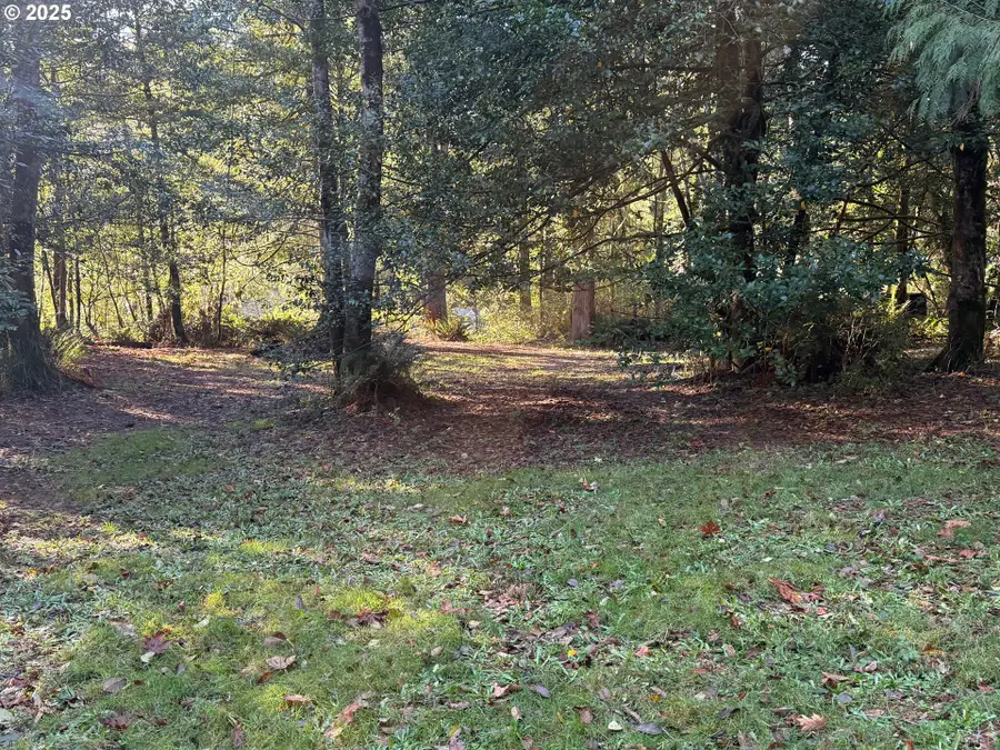 0 Tiernan Rd, Mapleton, OR 97453 - Image #2