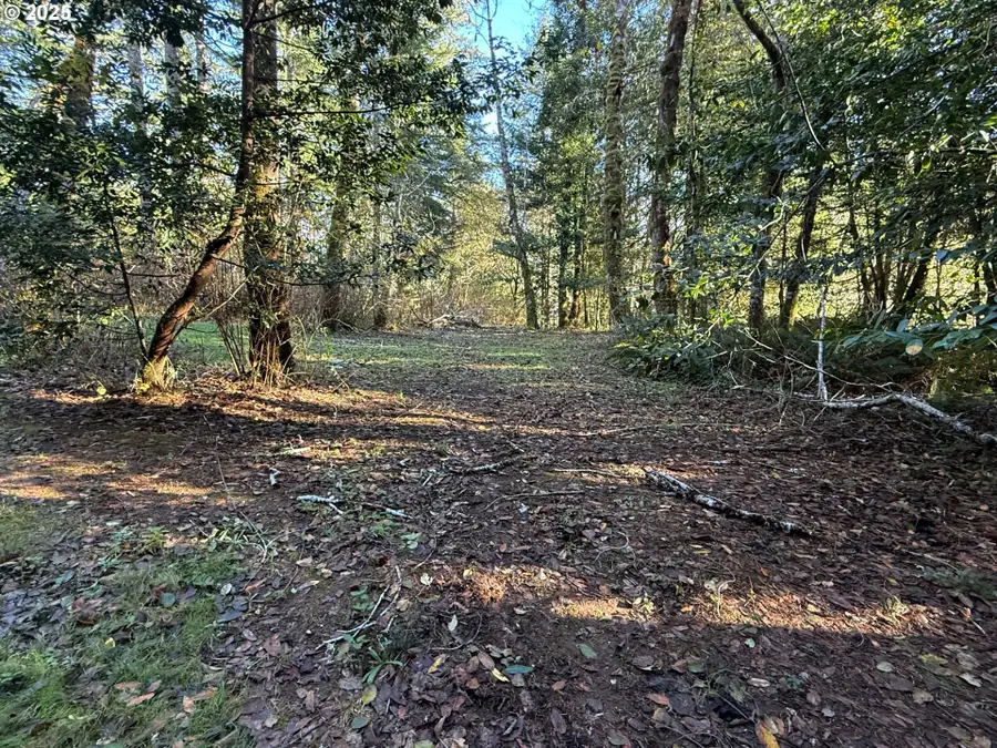 0 Tiernan Rd, Mapleton, OR 97453 - Image #3