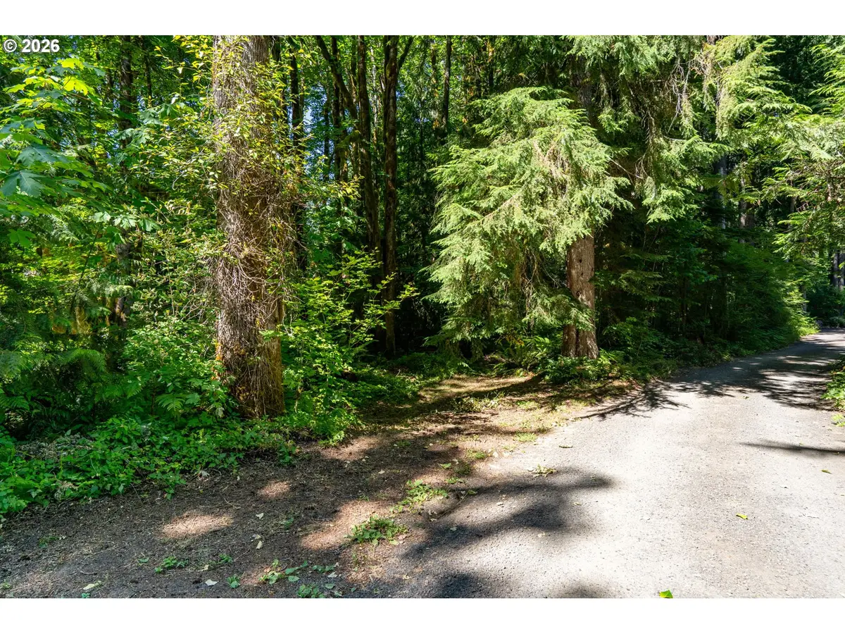 E Zig Zag River Rd #24-26, Rhododendron, OR 97049 - #1