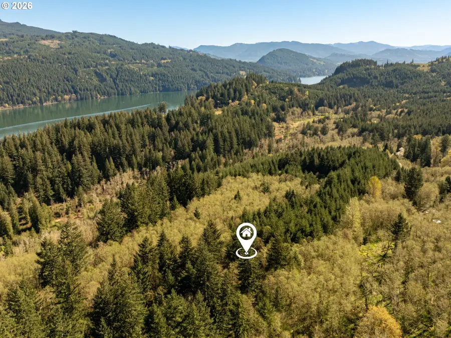 0 Buncombe Hollow Rd Ne, Woodland, WA 98674 - #3