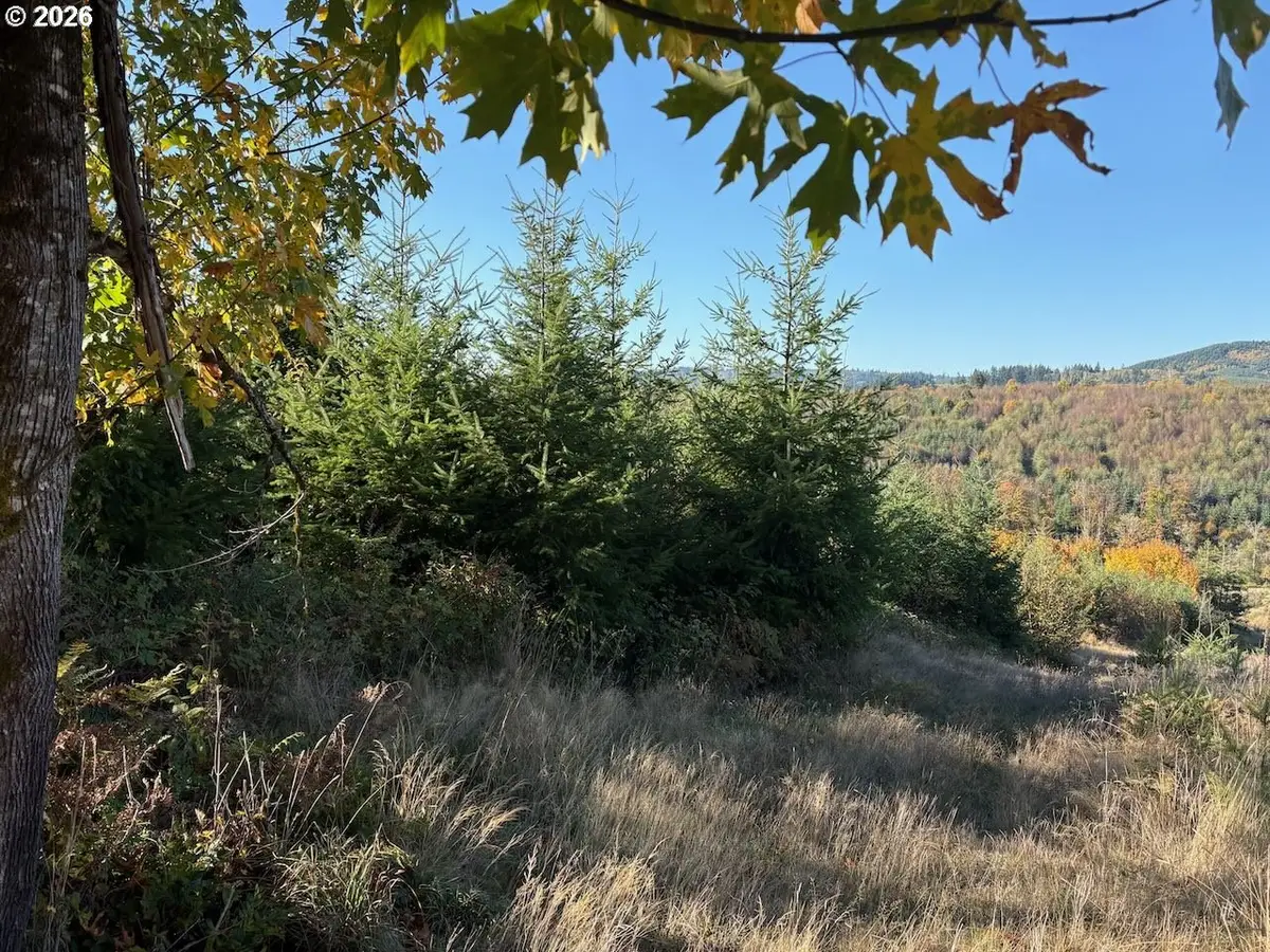 Barker, Goble, OR 97048 - #1