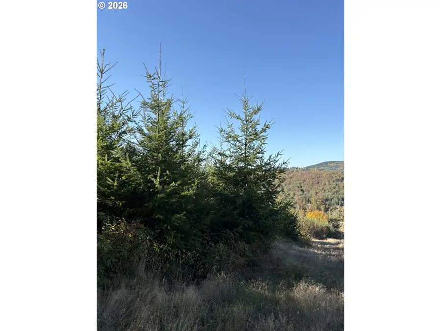 Barker, Goble, OR 97048 - #2