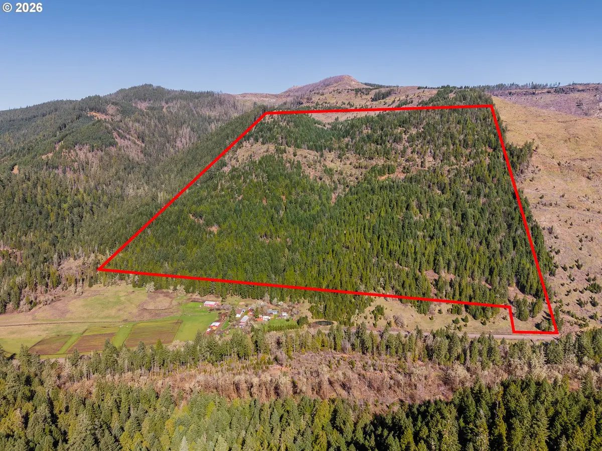 14536 Little River Rd, Glide, OR 97443 - #1